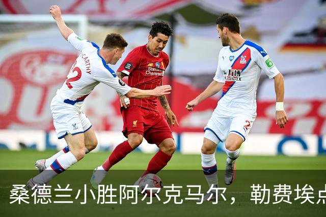 桑德兰小胜阿尔克马尔，勒费埃点球拯救全场！
